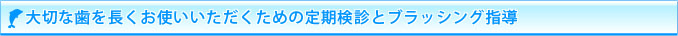 大切な歯を長くお使いいただくための定期健診とブラッシング指導